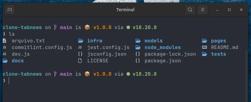Terminal tema aplicado